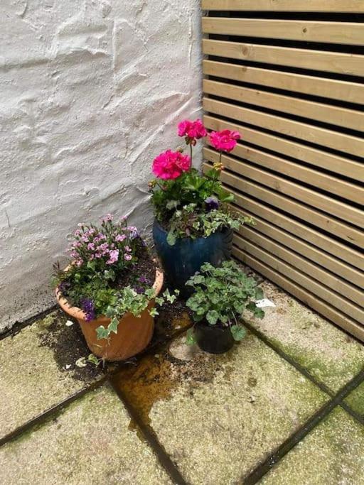 Beautiful Little Townhouse * Hove